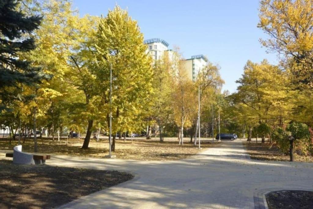 Apartmán Rich Bunny Kišiněv Exteriér fotografie